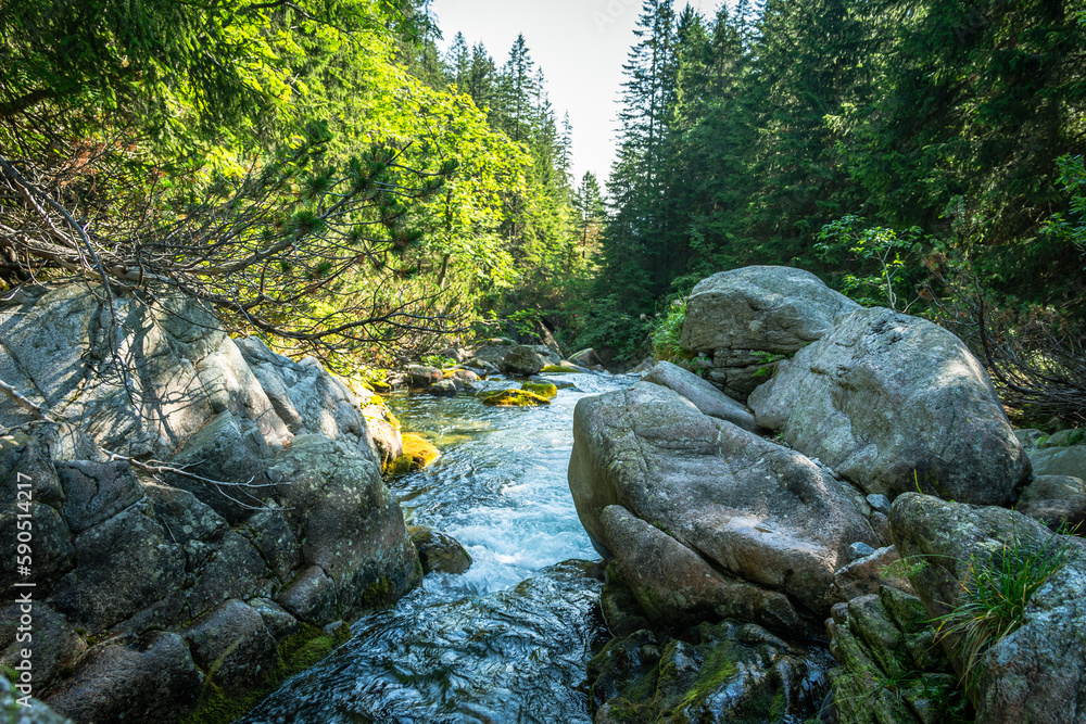 Naklejka premium Potok Roztoka w TPN