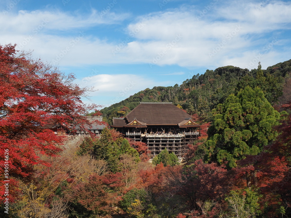 京都清水寺 京都清水寺