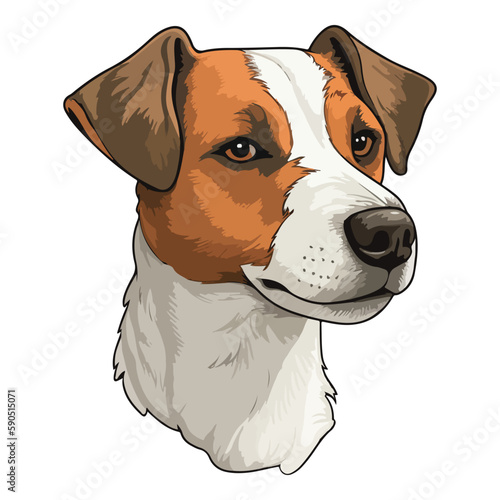 Jack Russell Terrier Flat Icon Isolated On White Background