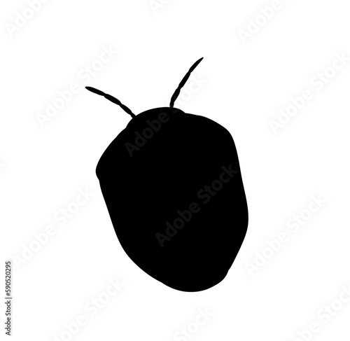 Vector isolated one single bedbug bug beetle top view  colorless black and white outline silhouette shadow shape