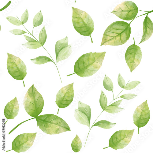 Green leaves roses pattern, watercolor clipart, hand drawing, botanical illustration © Yekaterina Kashutina