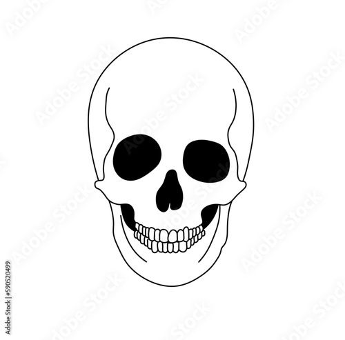 Vector isolated one single simplest smiling skull dead head front view portrait colorless black and white contour line easy drawing