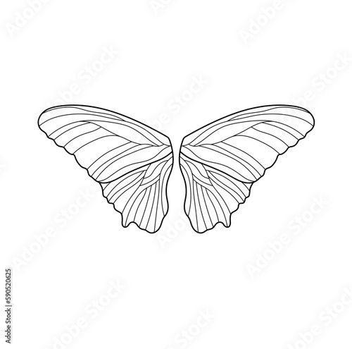 Vector isolated four two pair symmetrical beautiful butterfly wings with veins veined colorless black and white contour line easy drawing