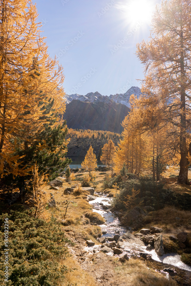 river in autumn river in autumn