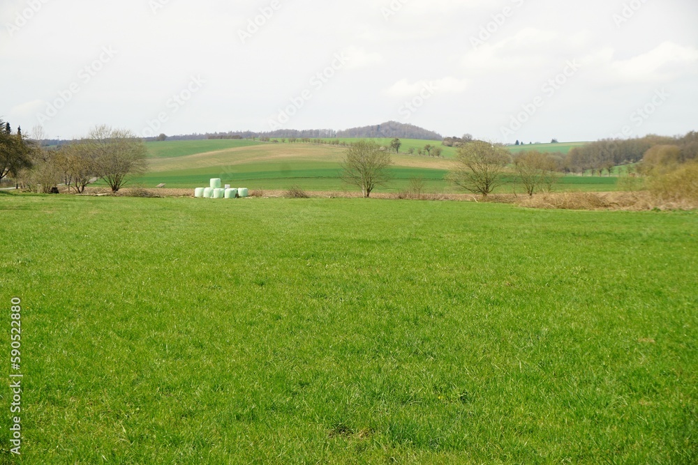 Grüne Landschaft Panorama mit Wiese, Bäumen, Berghügel und Himmel am Nachmittag im Frühling