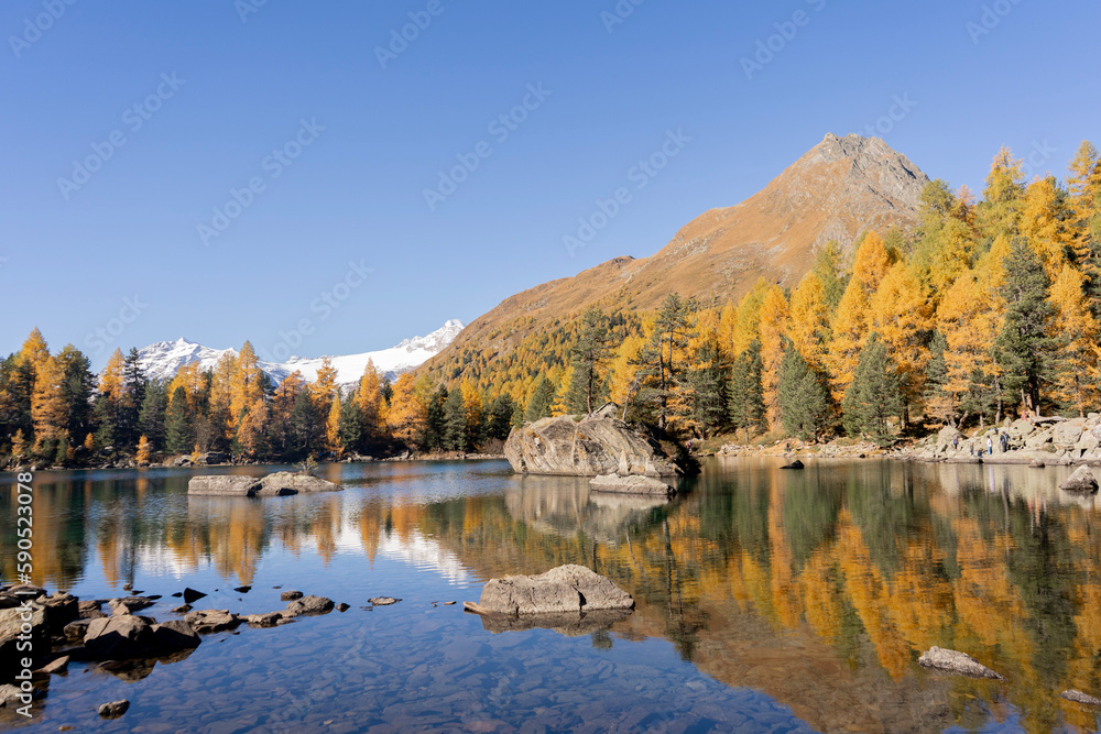 Fototapeta premium autumn in the mountains