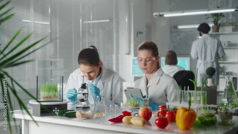 A female scientist examines a sample through a microscope and informs the laboratory assistant about the successful discovery. Two women joyfully clapped their hands. A female scientist examines a sample through a microscope and informs the laboratory assistant about the successful discovery. Two women joyfully clapped their hands.