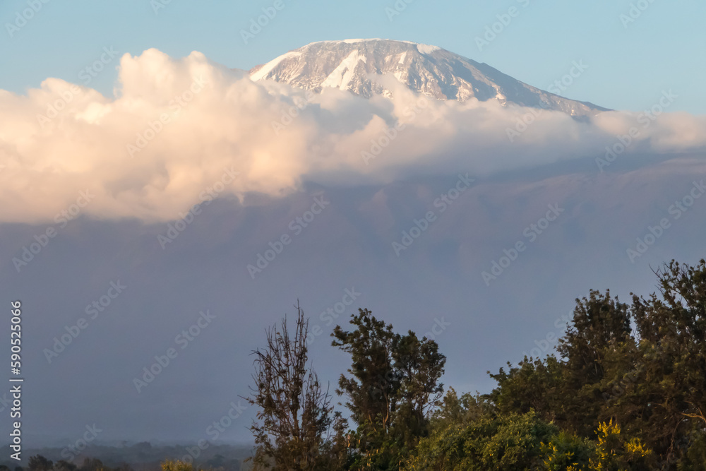 Mount Kilimanjaro seen through clouds with foreground bush Mount Kilimanjaro seen through clouds with foreground bush