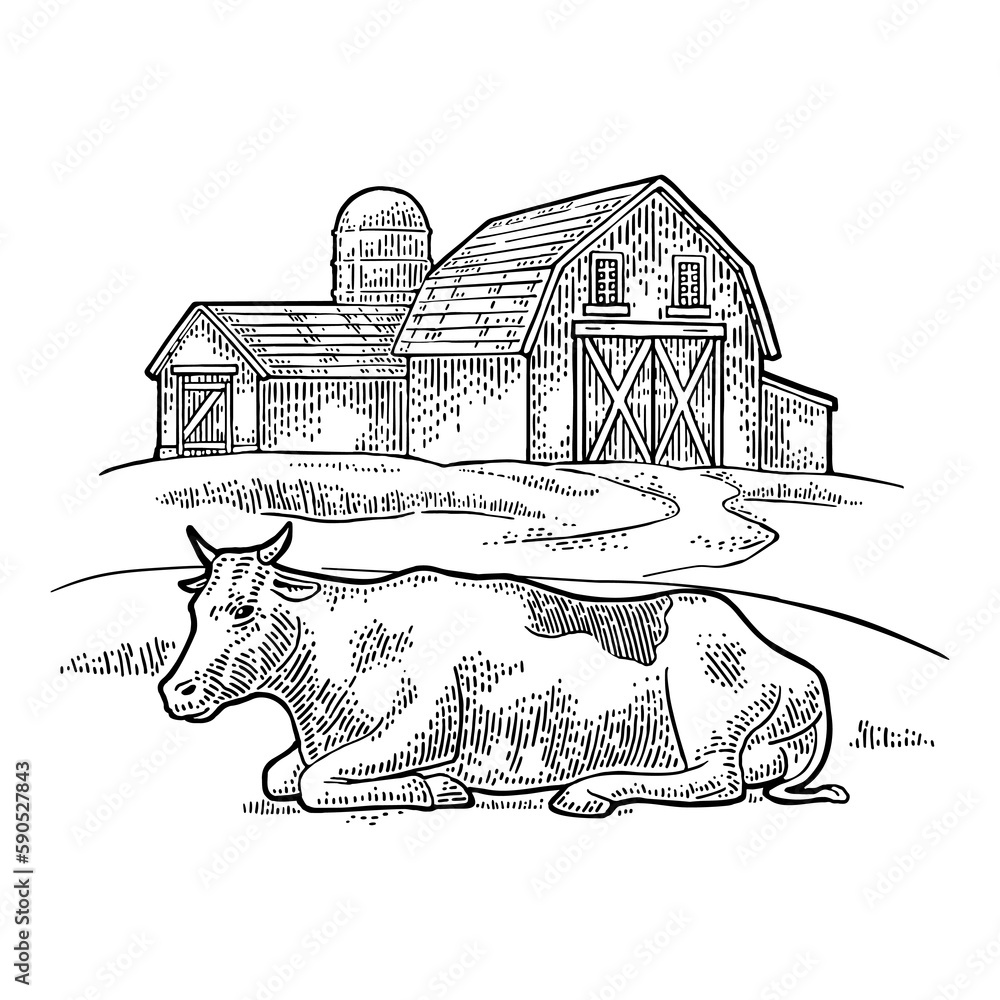 Organic farm and cow free range. Vintage vector engraving illustration ...