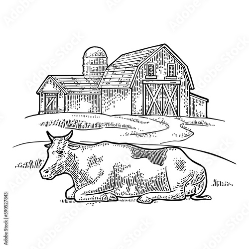 Organic farm and cow free range. Vintage vector engraving illustration