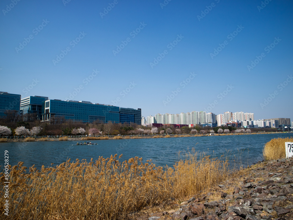Fototapeta premium 호수가 보이는 풍경