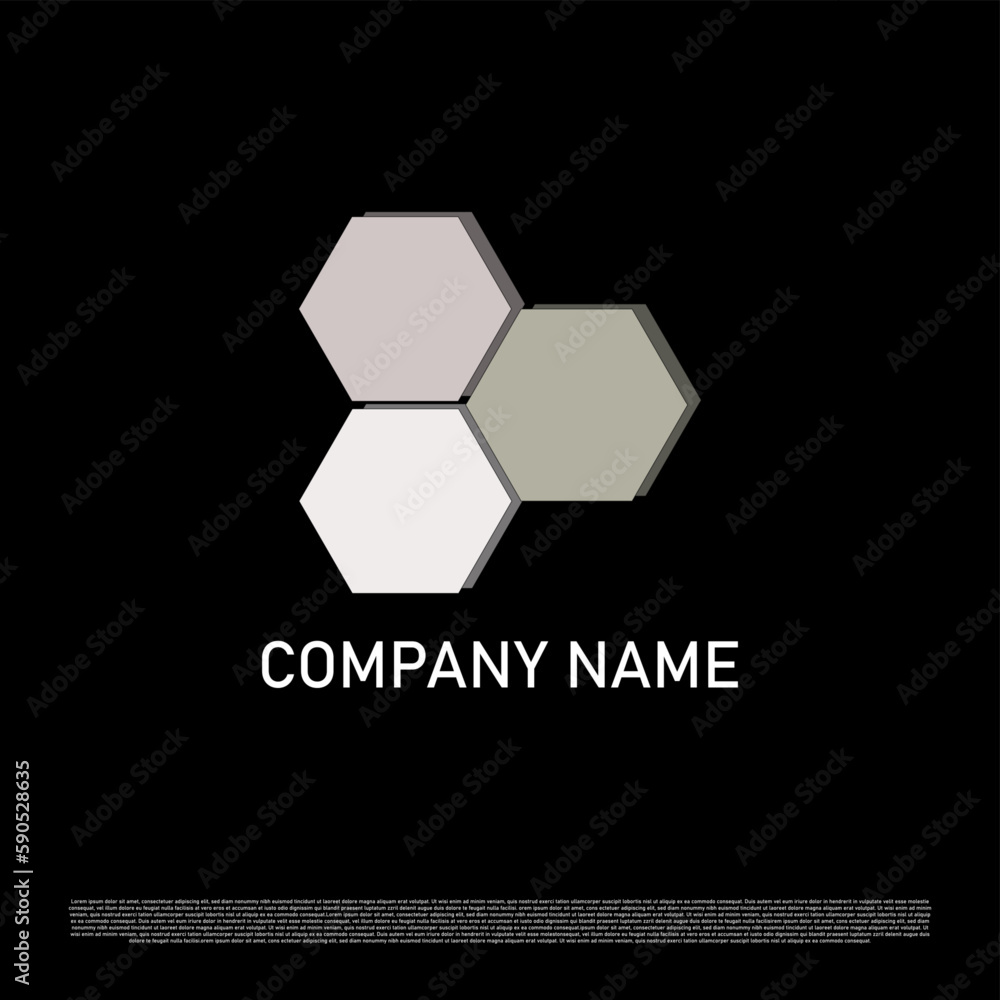 Fototapeta premium Vector logo design hexagonal suitable for your identity company