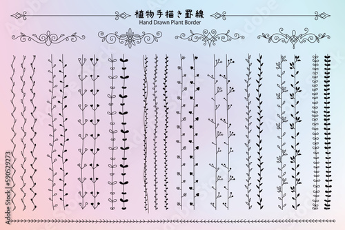 手描き植物罫線セット