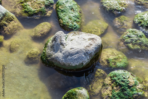 Photo background sea stone near the water