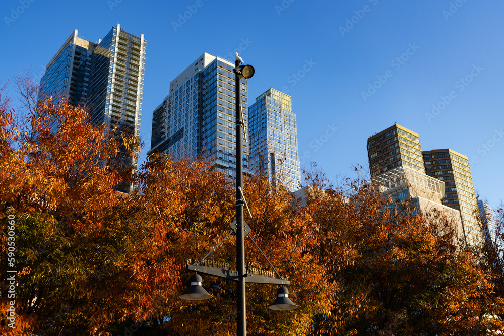 Colorful Trees during Autumn at Hudson River Park with Modern Skyscrapers in the Background in New York City