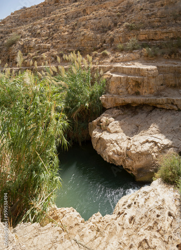 A Pond along the Prat Brook, Israel photo