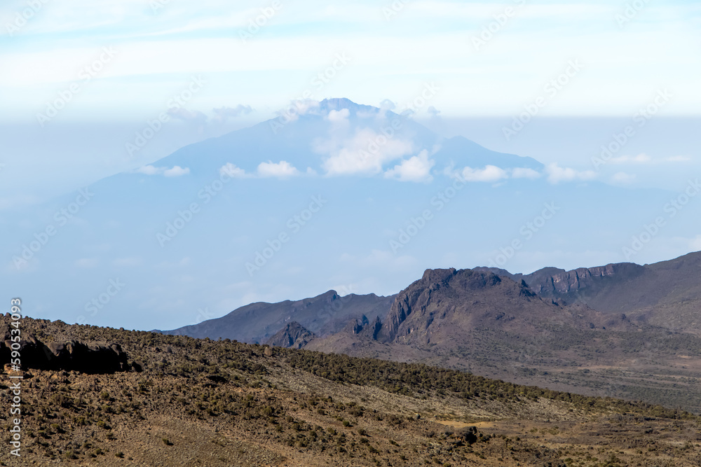 Scenery, native bush and vegetation on the slope of Mount Kilimanjaro