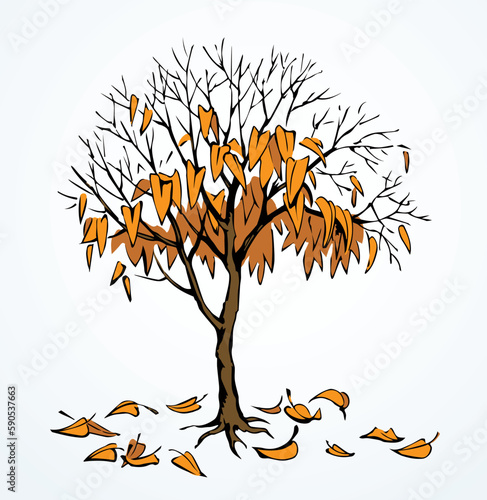 Vector drawing. Withered tree with fallen leaves