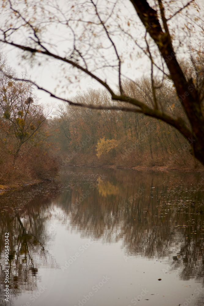 autumn river landscape. Autumn Landscape. Autumn trees in the park at the sunset. autumn river landscape. Autumn Landscape. Autumn trees in the park at the sunset.