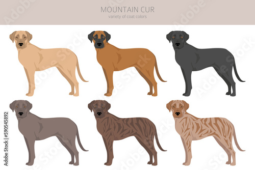 Mountain Cur clipart. Different poses, coat colors set
