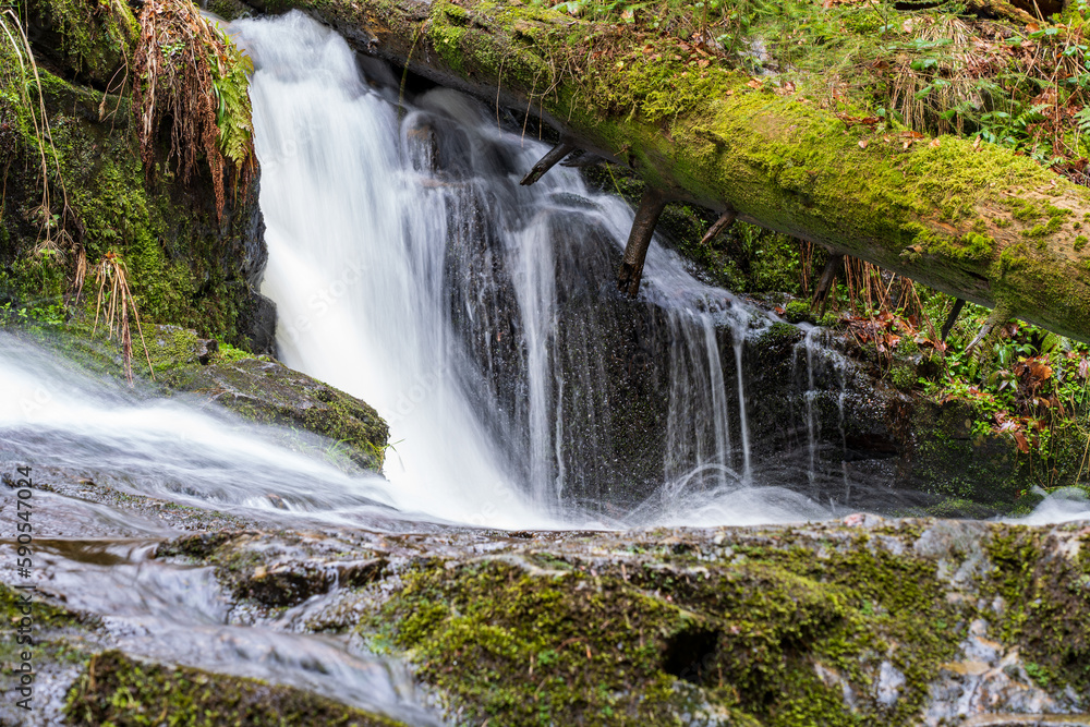 Obraz premium Windbergwasserfall im Schwarzwald