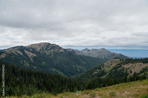 Mountain view in Pacific Northwest © Griffin
