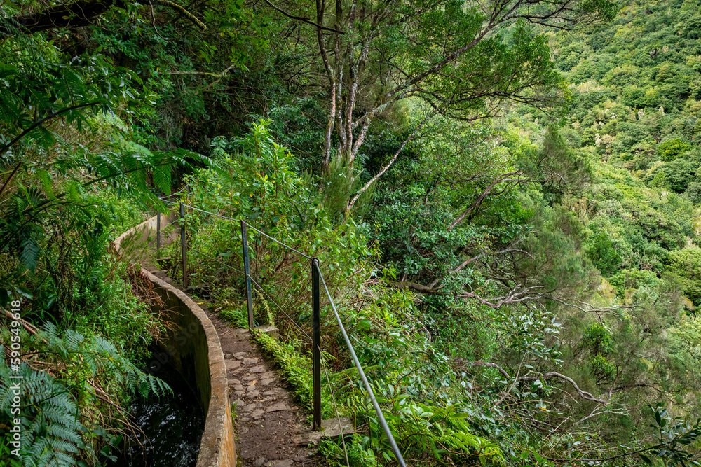 Madeira typical walking and hiking patch. Levada do Furado, one the most popular Levada tours on Madeira Island. From Ribeiro Frio to Portela. Portugal. Madeira typical walking and hiking patch. Levada do Furado, one the most popular Levada tours on Madeira Island. From Ribeiro Frio to Portela. Portugal.