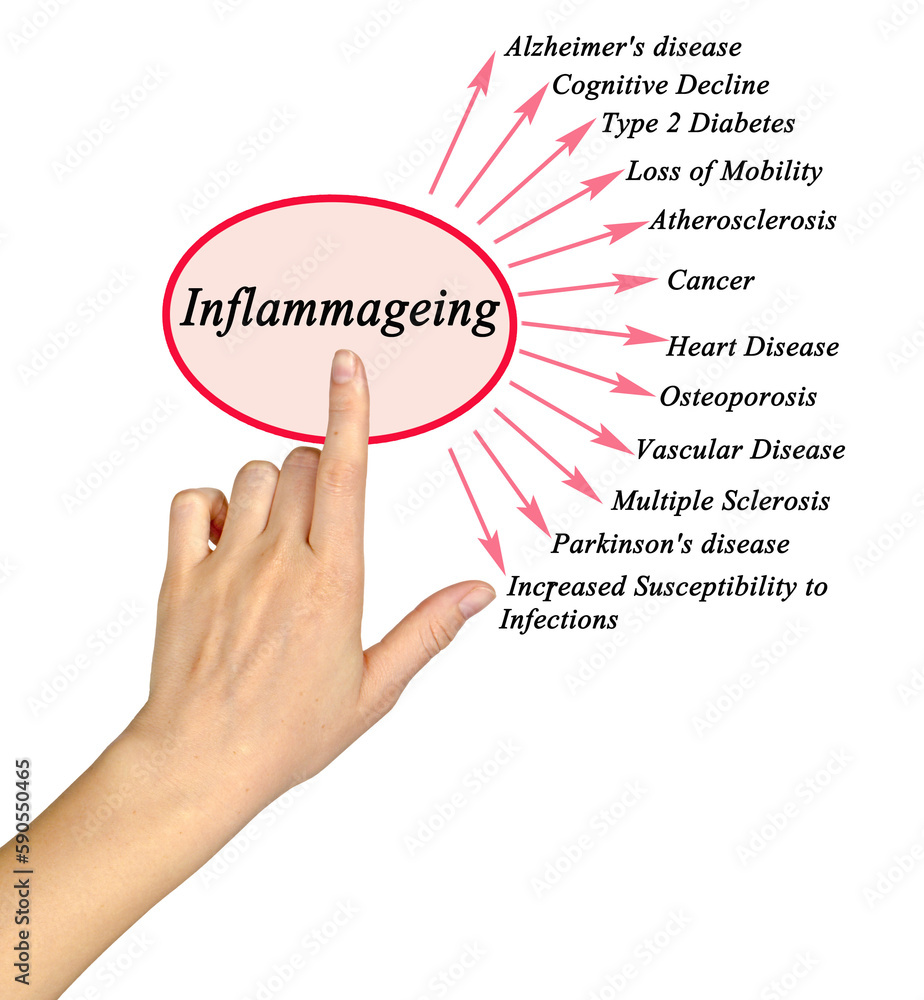 Woman Presenting Consequences of Inflammageing
