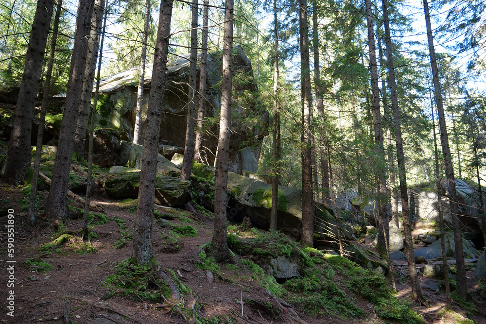 Dovbush Rocks in the forest near Yaremche city, Ukraine Dovbush Rocks in the forest near Yaremche city, Ukraine