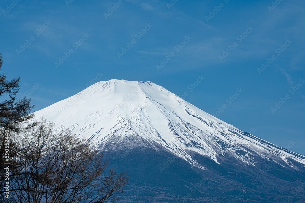 close up of Mt. Fuji in Spring season under the blue sky in Yamanashi prefecture, Japan close up of Mt. Fuji in Spring season under the blue sky in Yamanashi prefecture, Japan