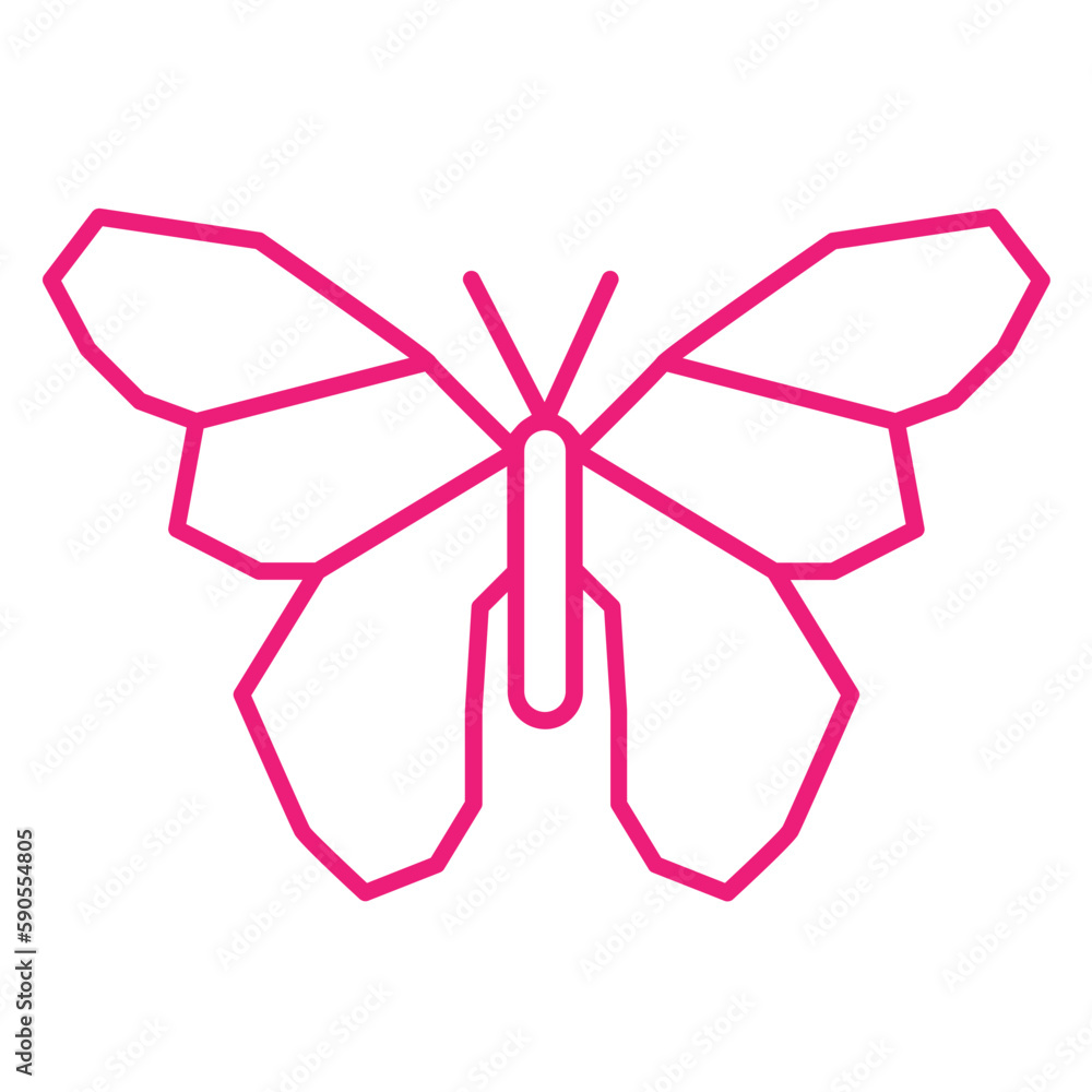 butterfly
butterfly