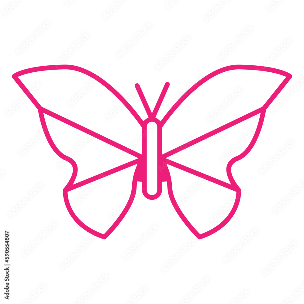 butterfly
butterfly