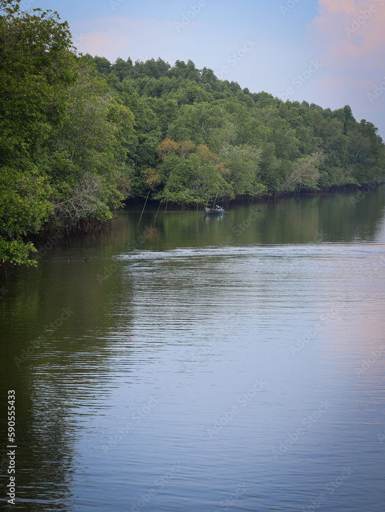 mangrove forest by the river with fishing boat mangrove forest by the river with fishing boat