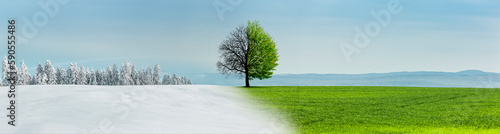 Jahreszeitenwechsel von Winterlandschaft zu Sommerlandschaft