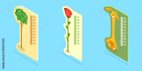 3D Isometric Flat Vector Set of Kids Height Meters, Animal Growth Rulers