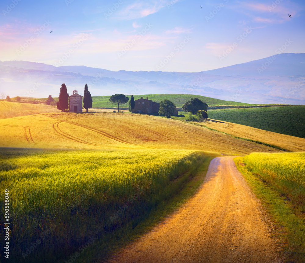 Beautiful Italian summer rural landscape; Countryside Panorama of summer green field with dirt road and Sunset cloudy sky.