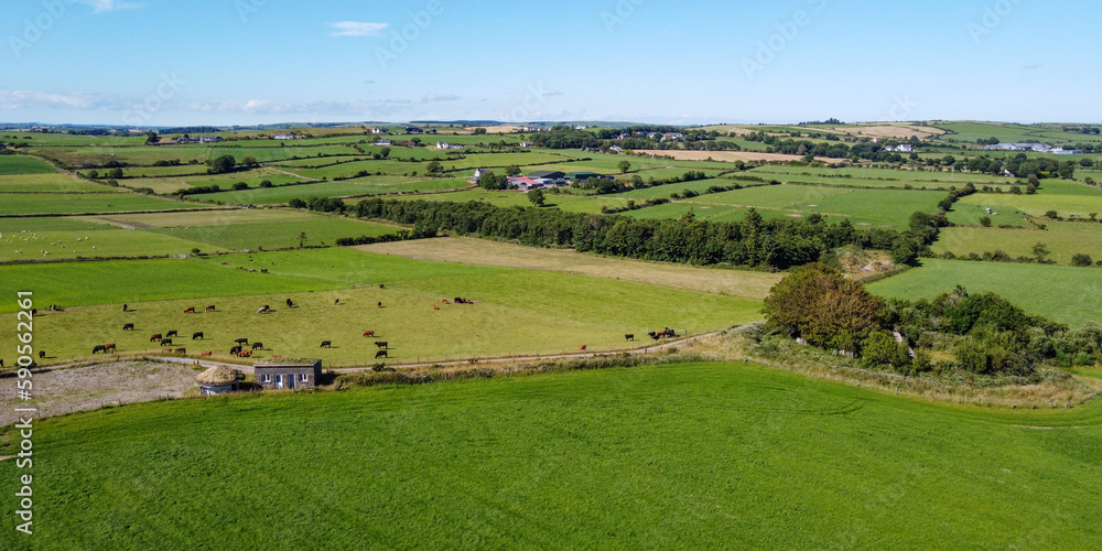 Vast pastures for cattle, Ireland. Picturesque farmland, top view. Agricultural landscape on a sunny summer day. Nature. Green grass field under blue sky