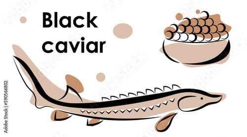 Black caviar and sturgeon on a white background.