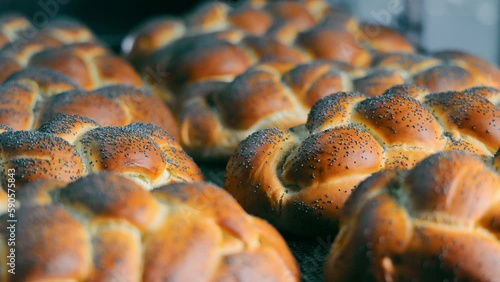 Freshly baked braided buns with poppy seeds. Traditional bakery photo