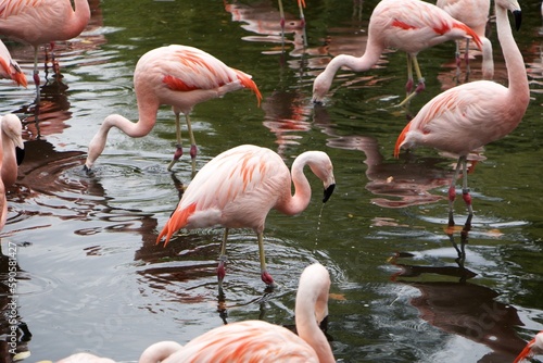 Tiere Zoo Zürich