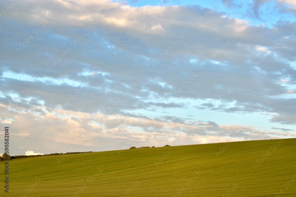 Landscape with a green field and clouded sky at sunset in the summer, England, UK