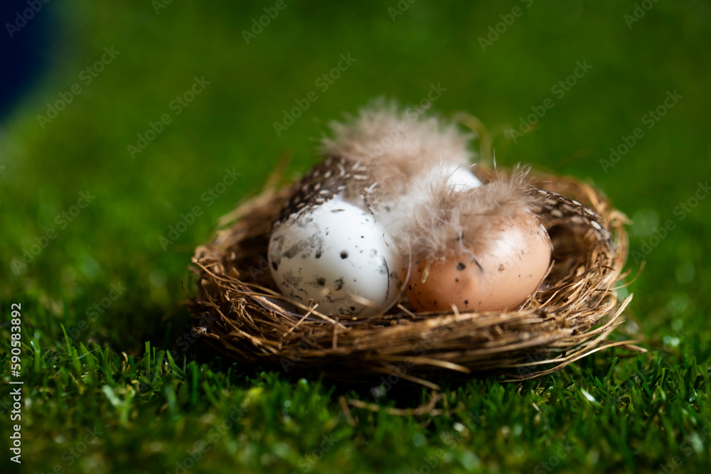 Obraz premium Easter concept photo. Easter photo. Spring. Holidays. Decor. Decoration. Background. 