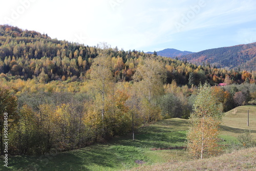 Colorful autumn on the hills next to the meadow. Carpathian mountains, Ukraine.