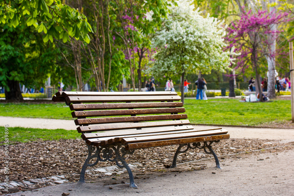 A wooden bench in city park in spring day. Beautiful landscape with blooming lilac and white blossoming trees, green grass on a lawn. A tranquil place to sit, relax in nature. People relaxing outdoors