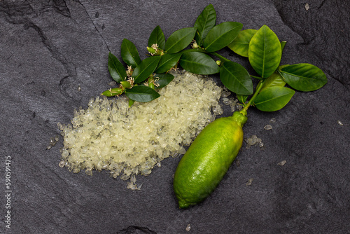 Delicious white citrus caviar on the black slate slab decorated with a green plants sprig and finger-like ripe fruit, close-up.  Microcitrus australasica, Australian finger lime, Faustrimedin