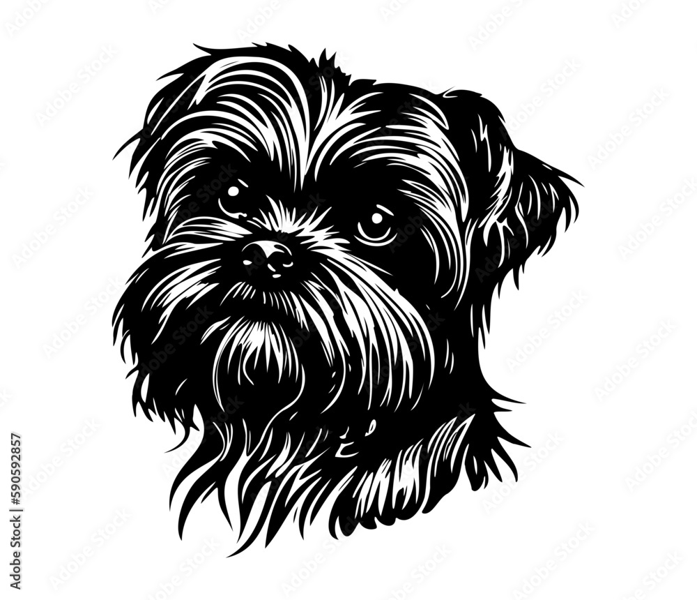 Affenpinscher Face, Silhouettes Dog Face SVG, black and white Affenpinscher vector