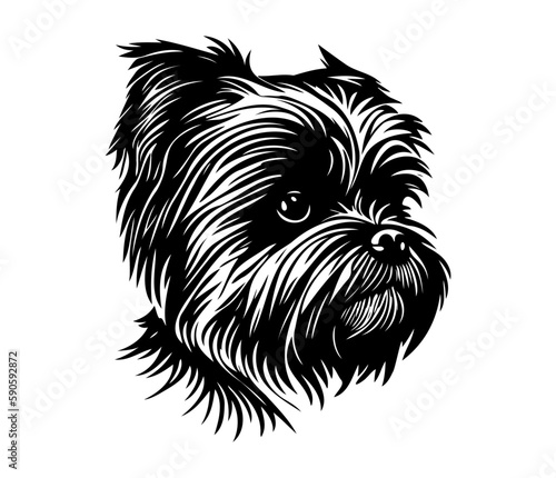 Affenpinscher Face  Silhouettes Dog Face SVG  black and white Affenpinscher vector