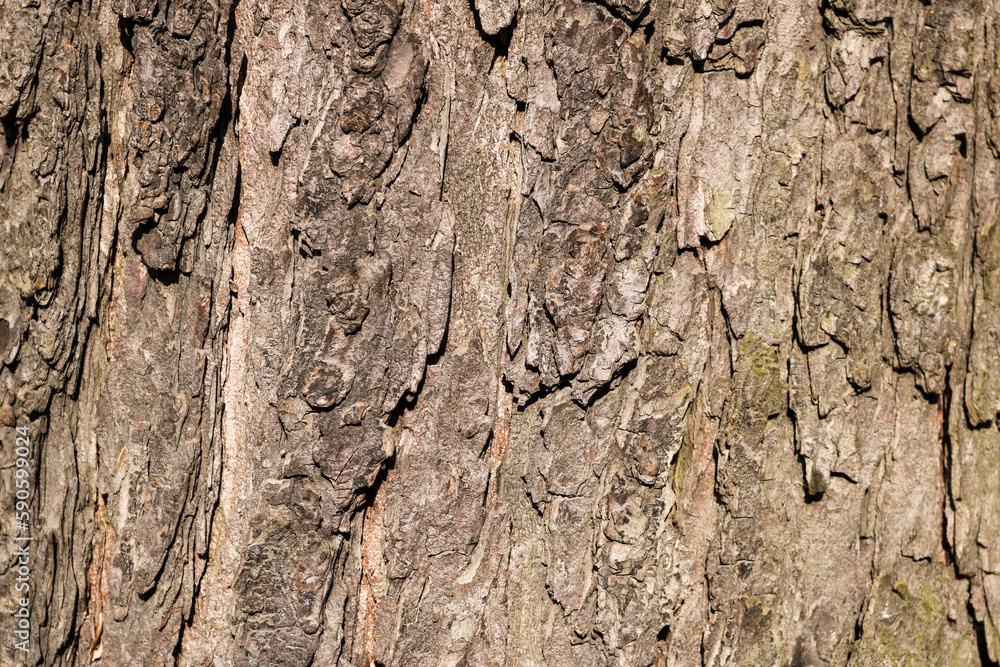 texture. texture.