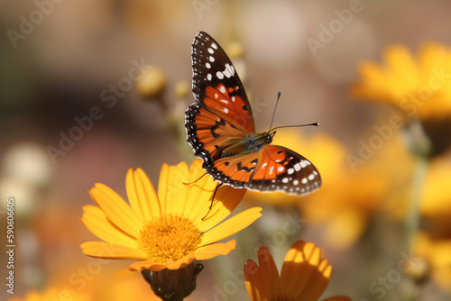 A butterfly on a flower, Earth Day Generative AI