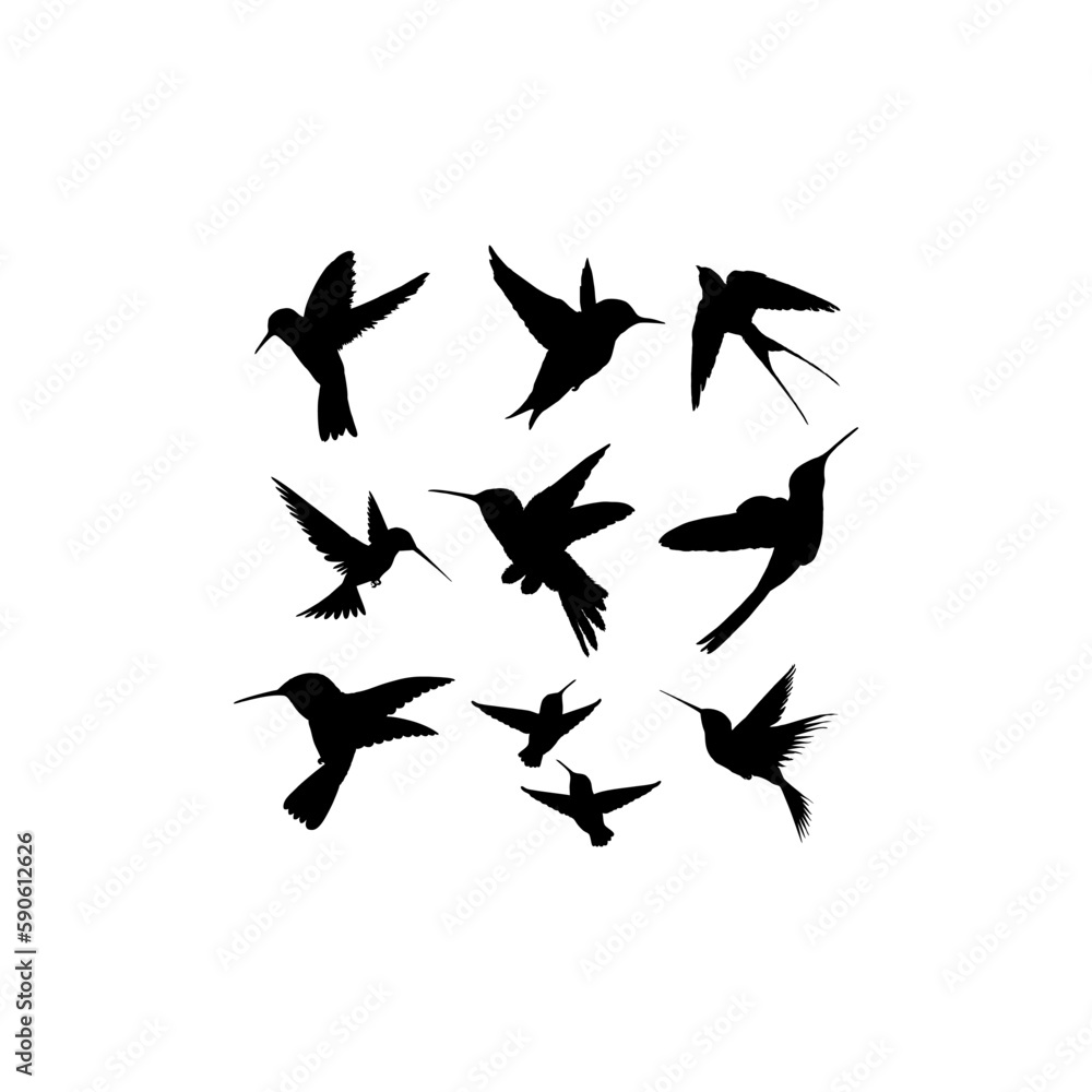 Hummingbird silhouette icon  collection design